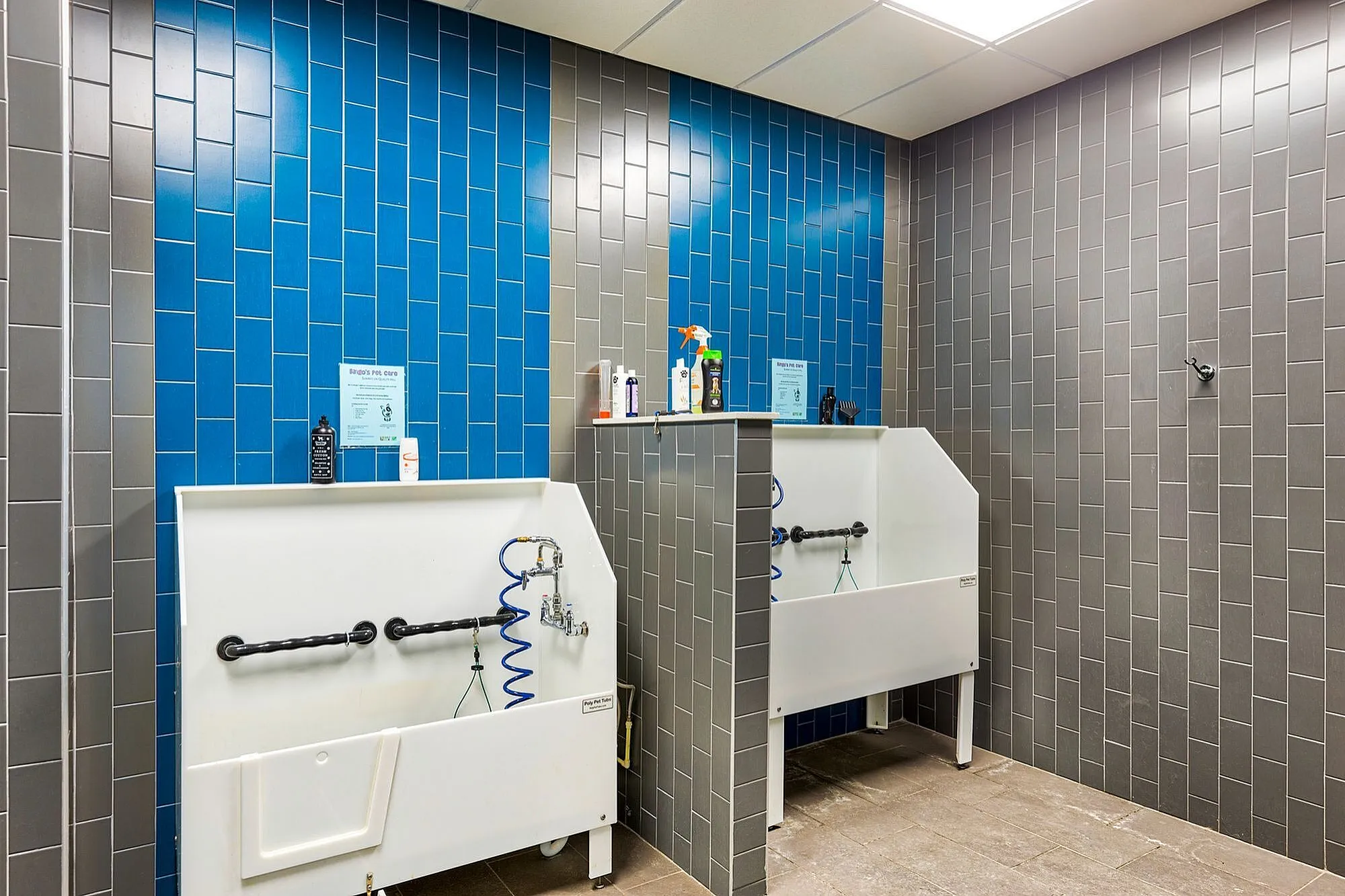 Modern pet grooming station with bright blue and gray tiled walls, featuring dual spacious washing basins.