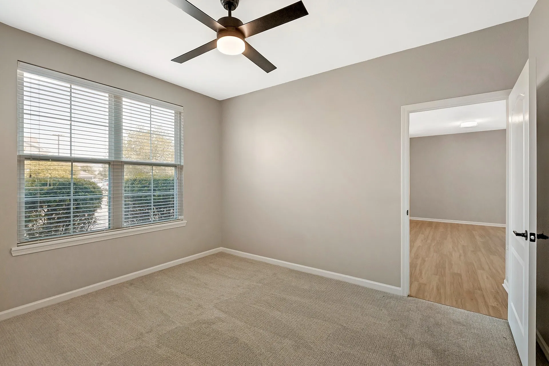 Bright and airy room featuring plush carpet, large window with natural light, modern ceiling fan, and seamless transition to a stylish wooden floor.