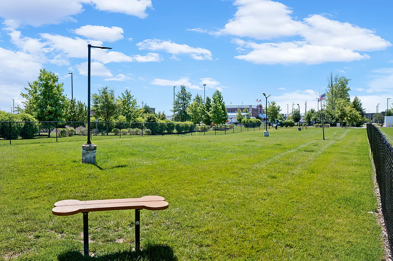 Bark Park