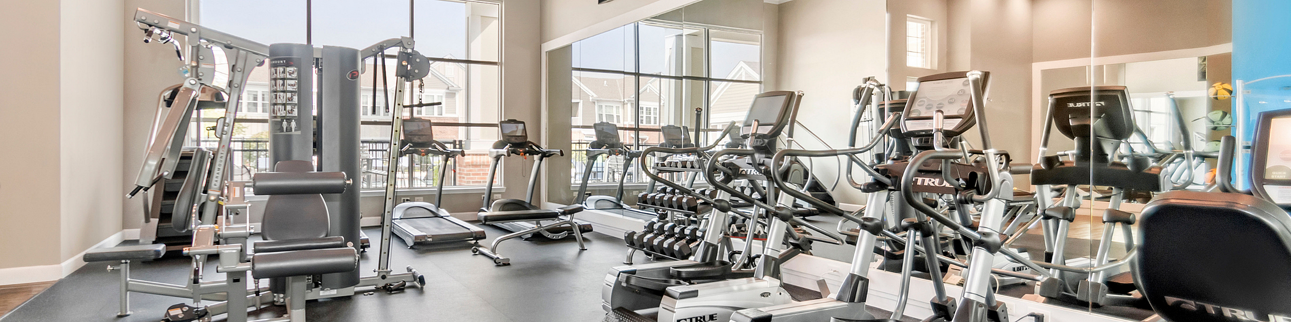 Bright, modern gym featuring state-of-the-art fitness equipment, cardio machines, and free weights with large windows for natural light.