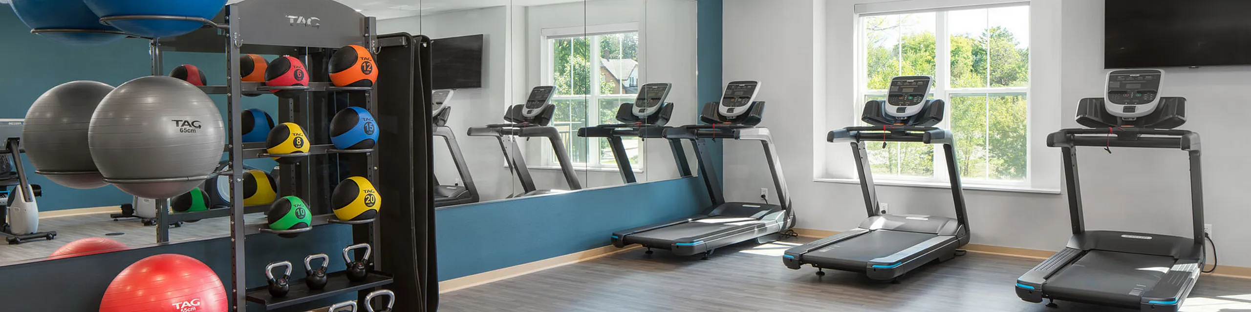 Modern fitness room with high-end treadmills, colorful exercise balls, and kettlebells under natural lighting.