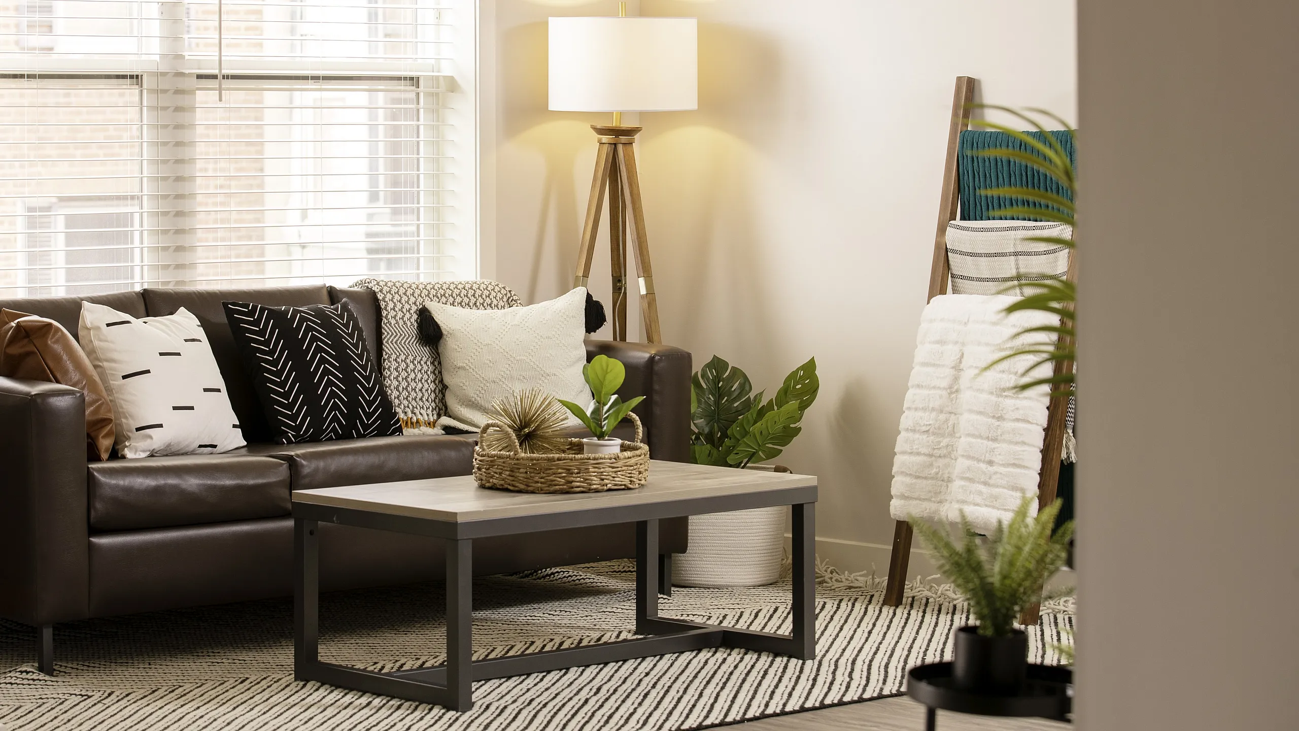 Cozy living room with a modern leather sofa, decorative pillows, stylish floor lamp, and greenery, enhancing a bright and inviting ambiance.