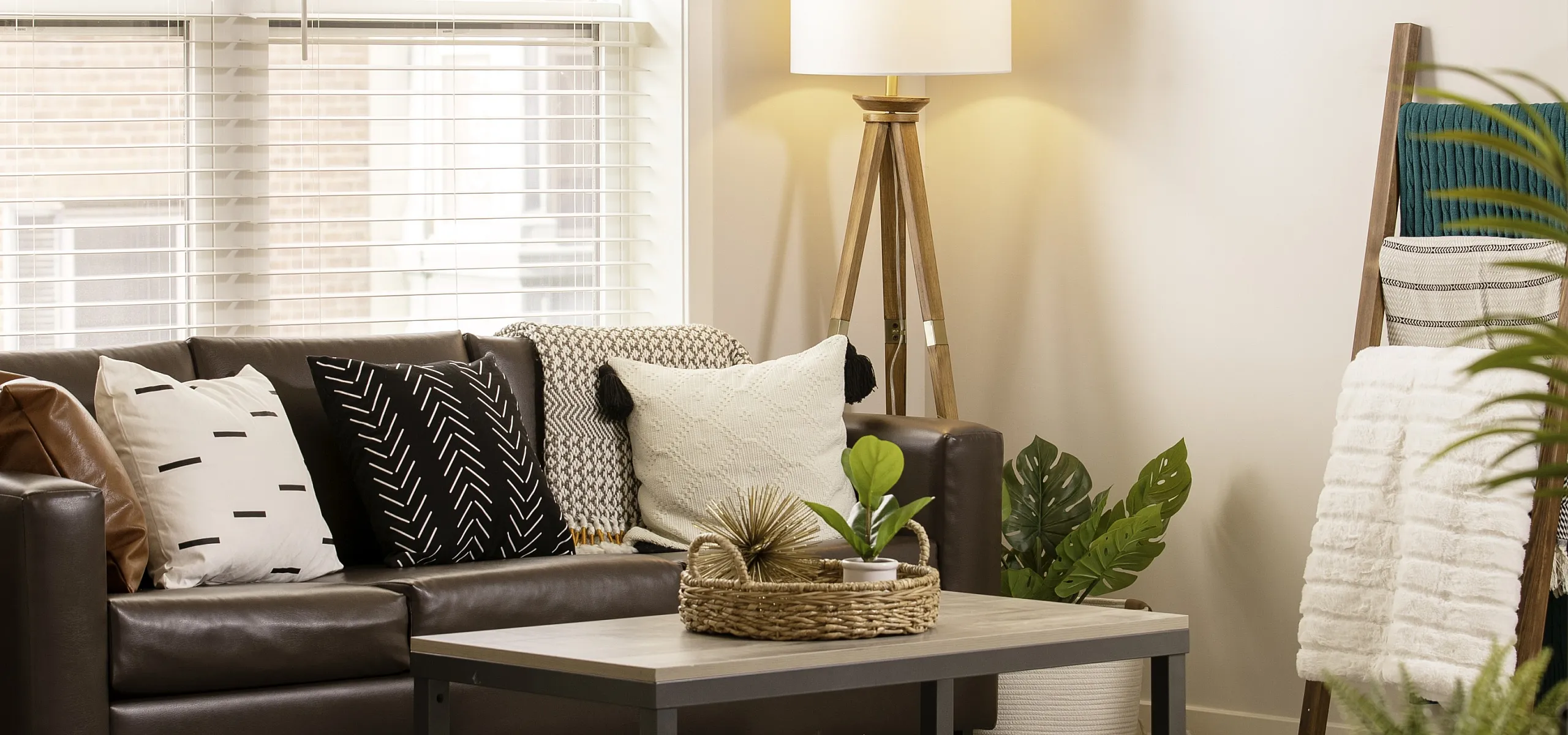 Bright and cozy living room with a stylish leather sofa, modern coffee table, elegant floor lamp, and inviting decor accents.
