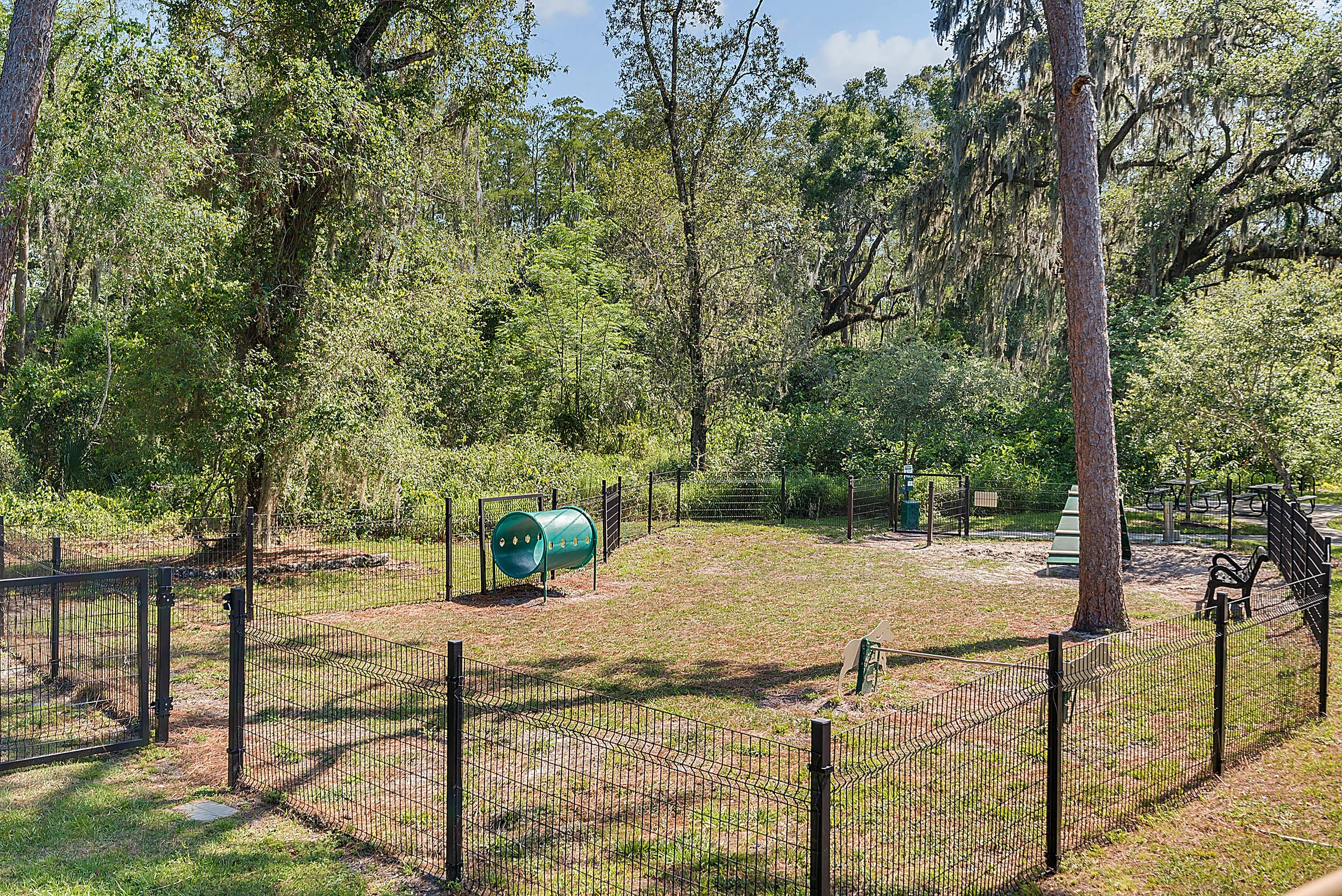 Inviting fenced-in outdoor dog park with agility equipment surrounded by lush green trees, perfect for pet-friendly living.