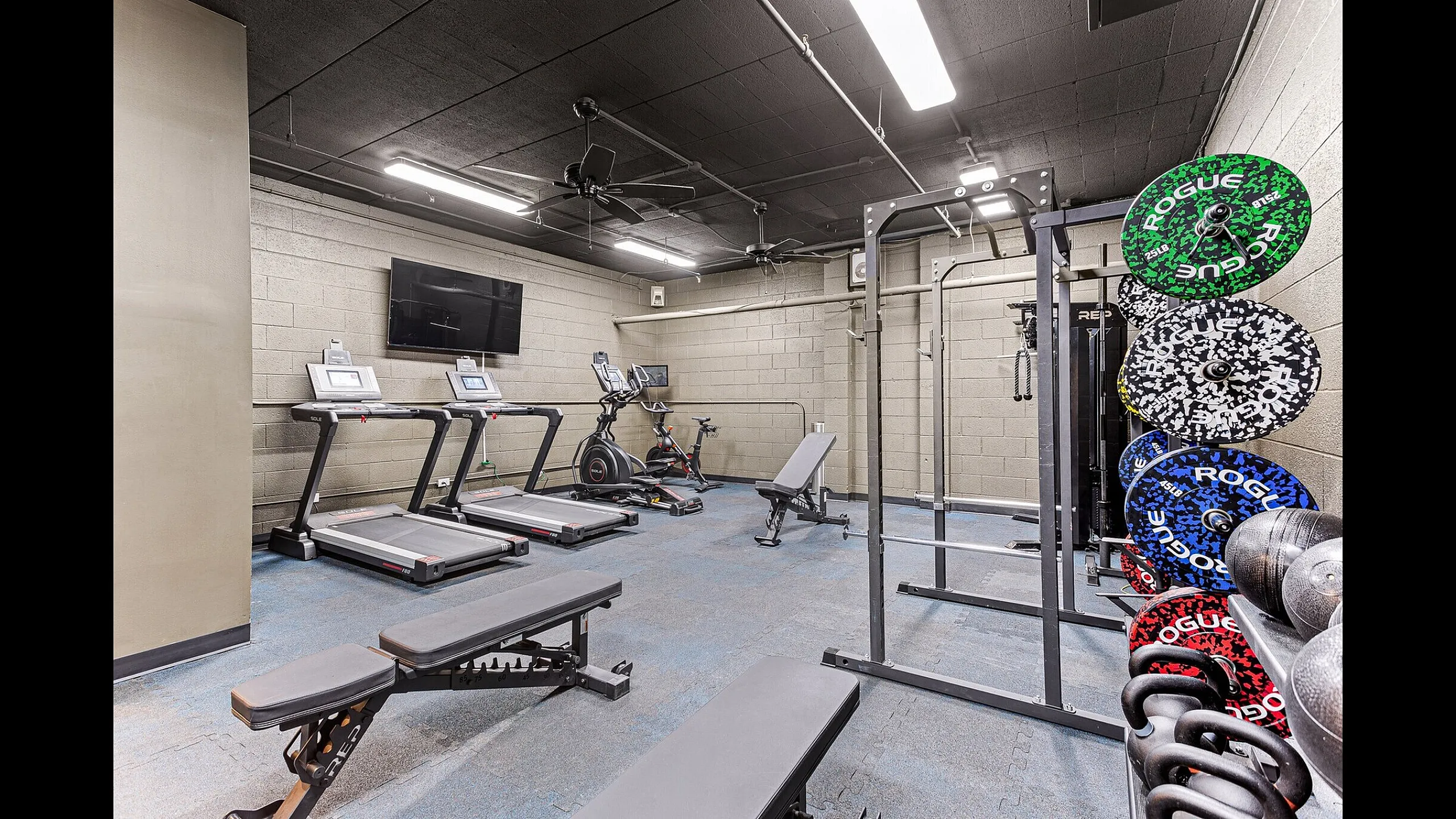 Modern gym with state-of-the-art equipment including treadmills, stationary bikes, weightlifting benches, and vibrant weight plates, perfect for a comprehensive workout.