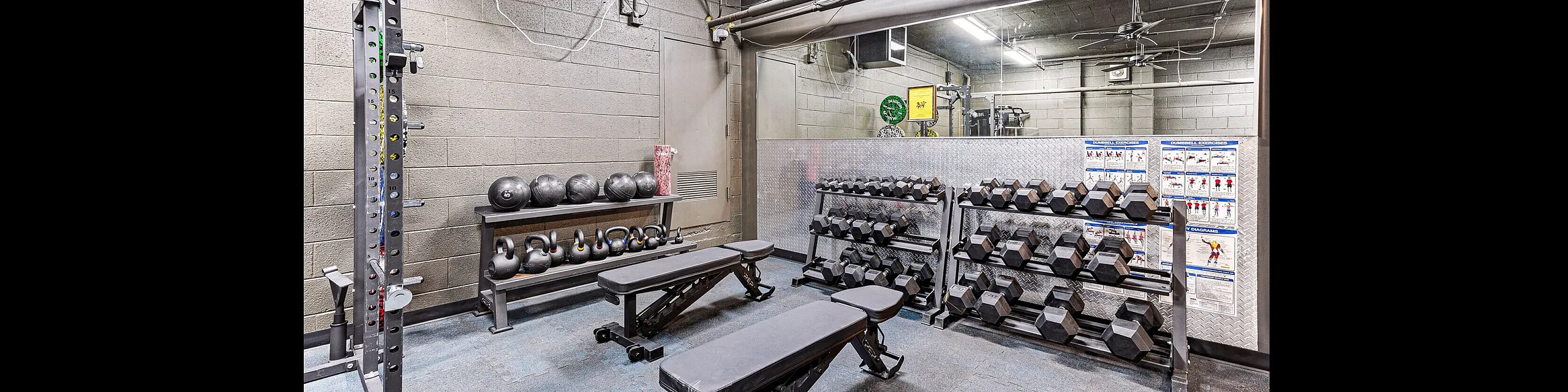 Modern fitness room featuring sleek benches, a variety of dumbbells, kettlebells, and exercise balls for a comprehensive workout experience.