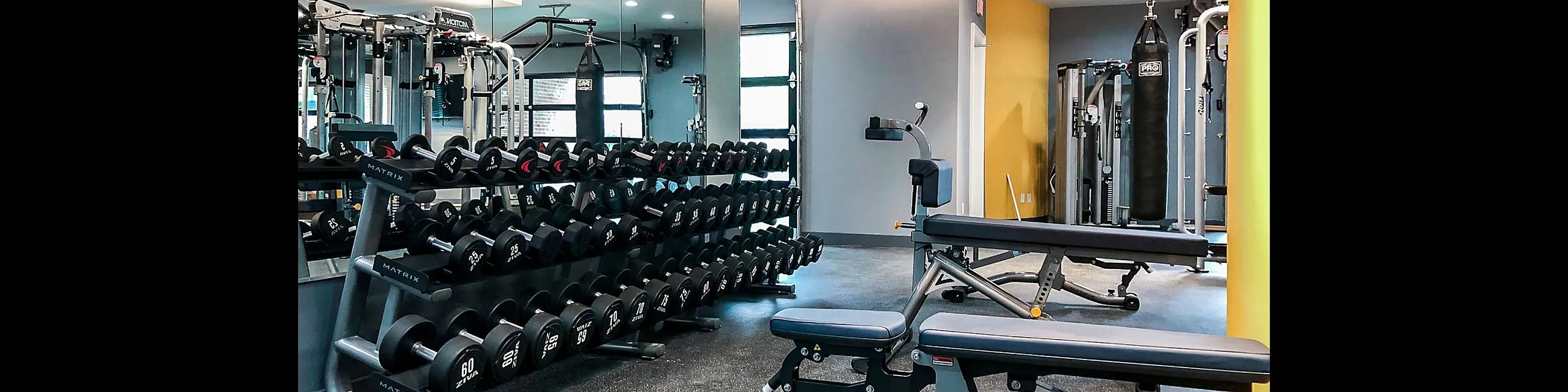 Haven at University Downs - Fitness Center
