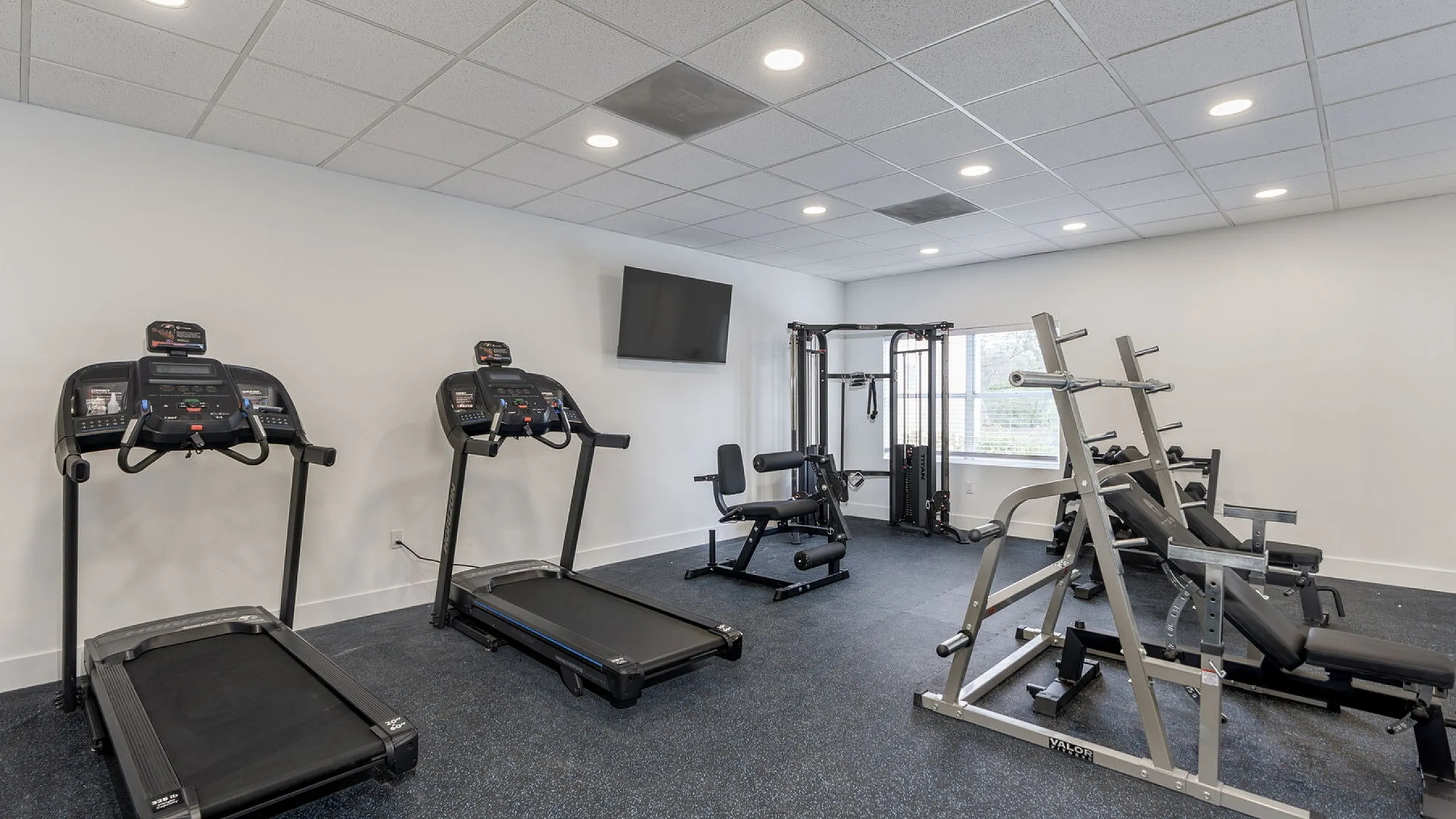 Modern fitness center with treadmills, weight benches, and exercise equipment, perfect for an energizing workout.
