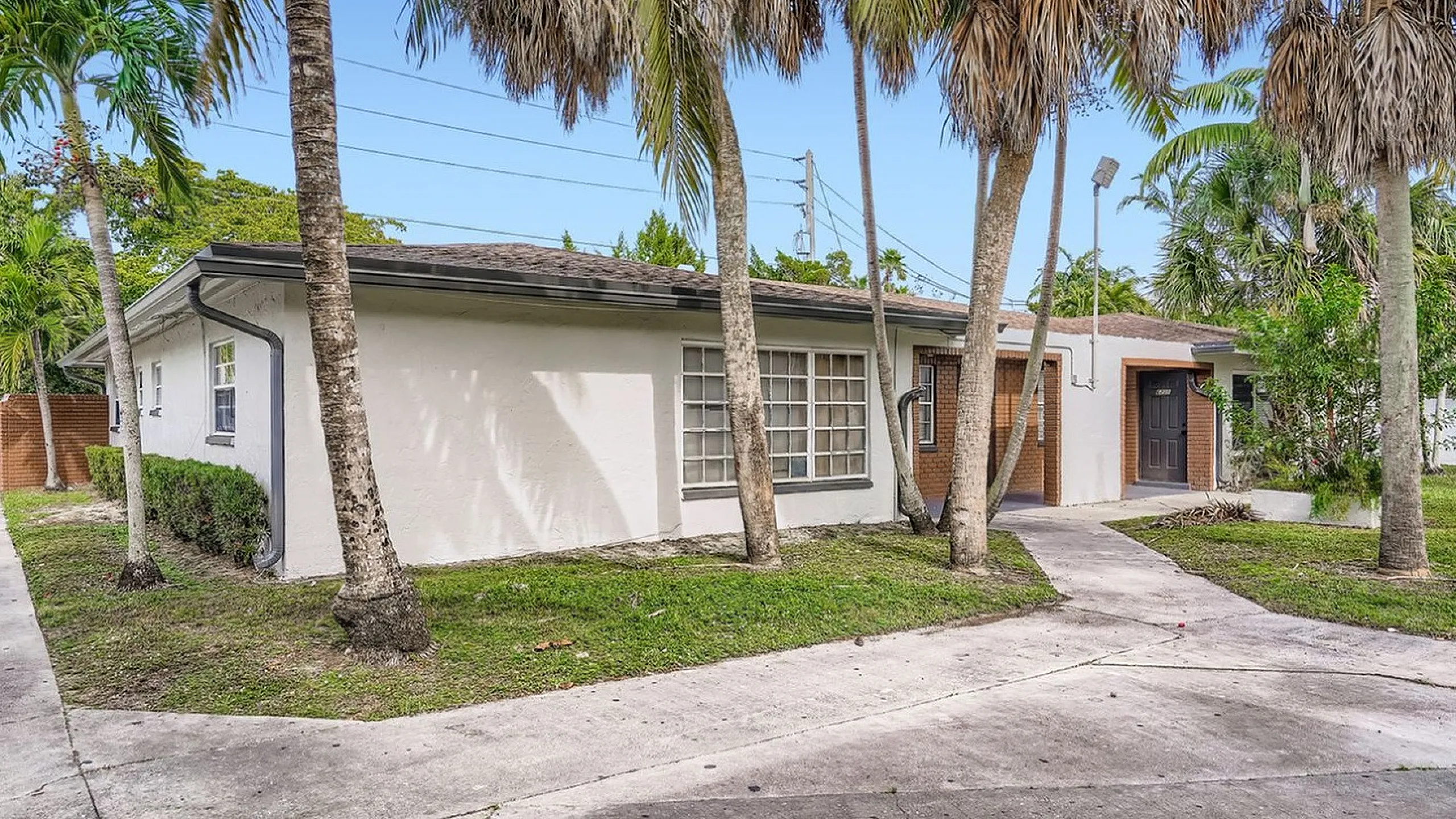 Charming single-story home with large windows, surrounded by lush palm trees and a serene yard.