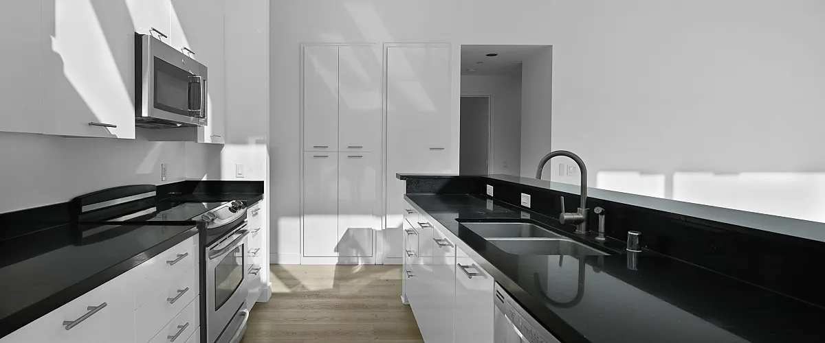 Contemporary kitchen with elegant black countertops and high-end stainless steel appliances.