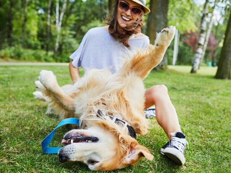 Joyful outdoor scene with a playful dog rolling on grass beside a happy person in casual attire, surrounded by lush greenery.