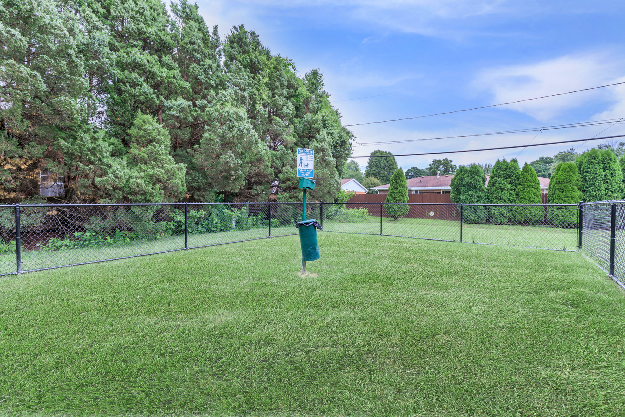 Expansive, lush green dog park surrounded by trees and secure fencing, perfect for pet playtime.
