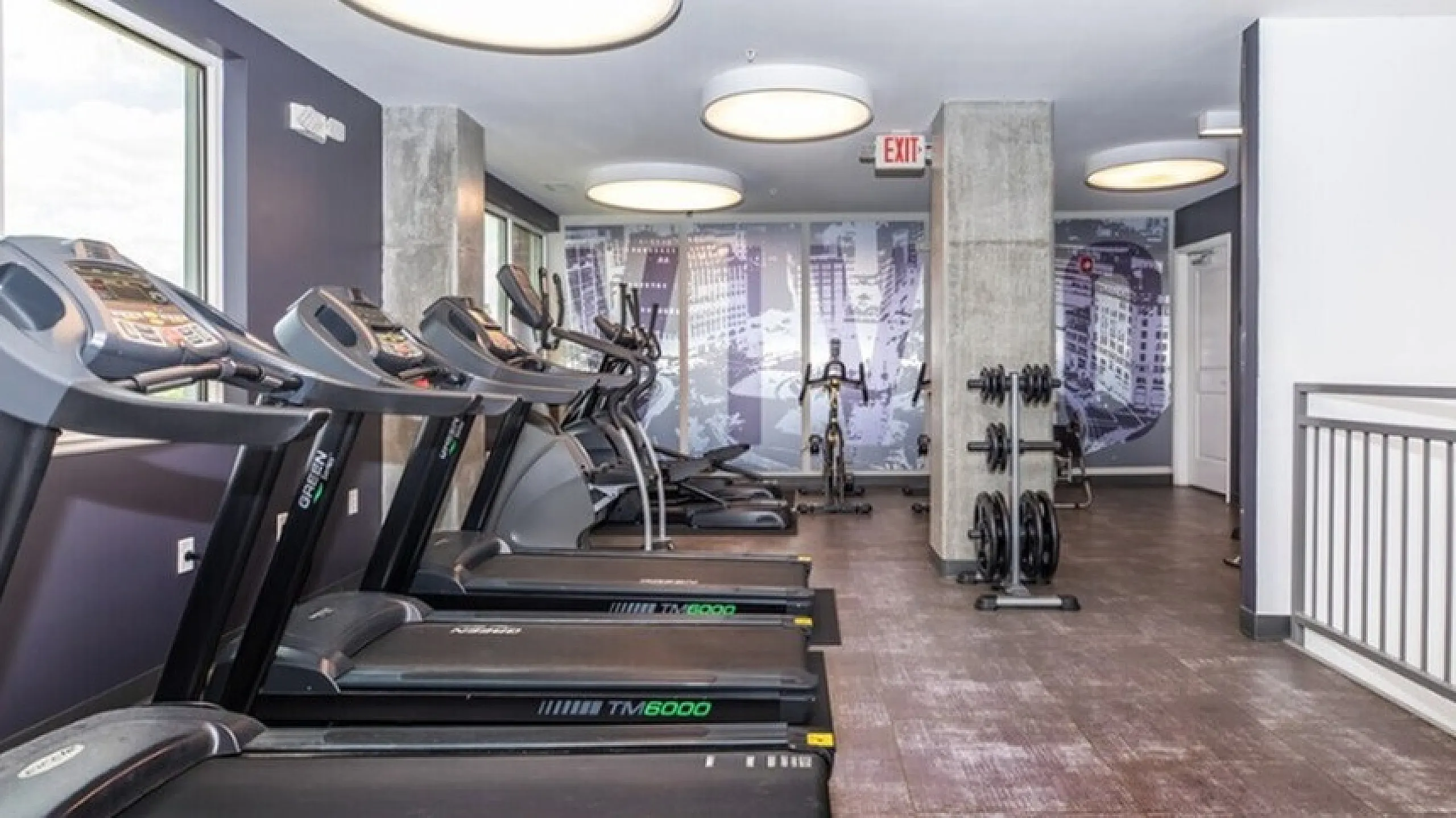 Modern gym with state-of-the-art treadmills and sleek design, perfect for fitness enthusiasts.