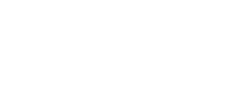 Elegant script logo displaying 'The Sarah' in a sophisticated white font.