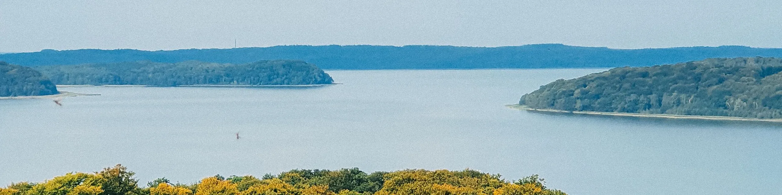 Breathtaking view of lush green forest meeting a serene blue lake under a clear sky, showcasing nature's beauty.