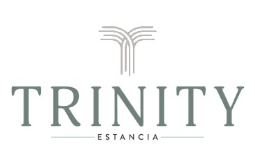 Elegant logo for Trinity Estancia featuring a modern, stylized tree design.