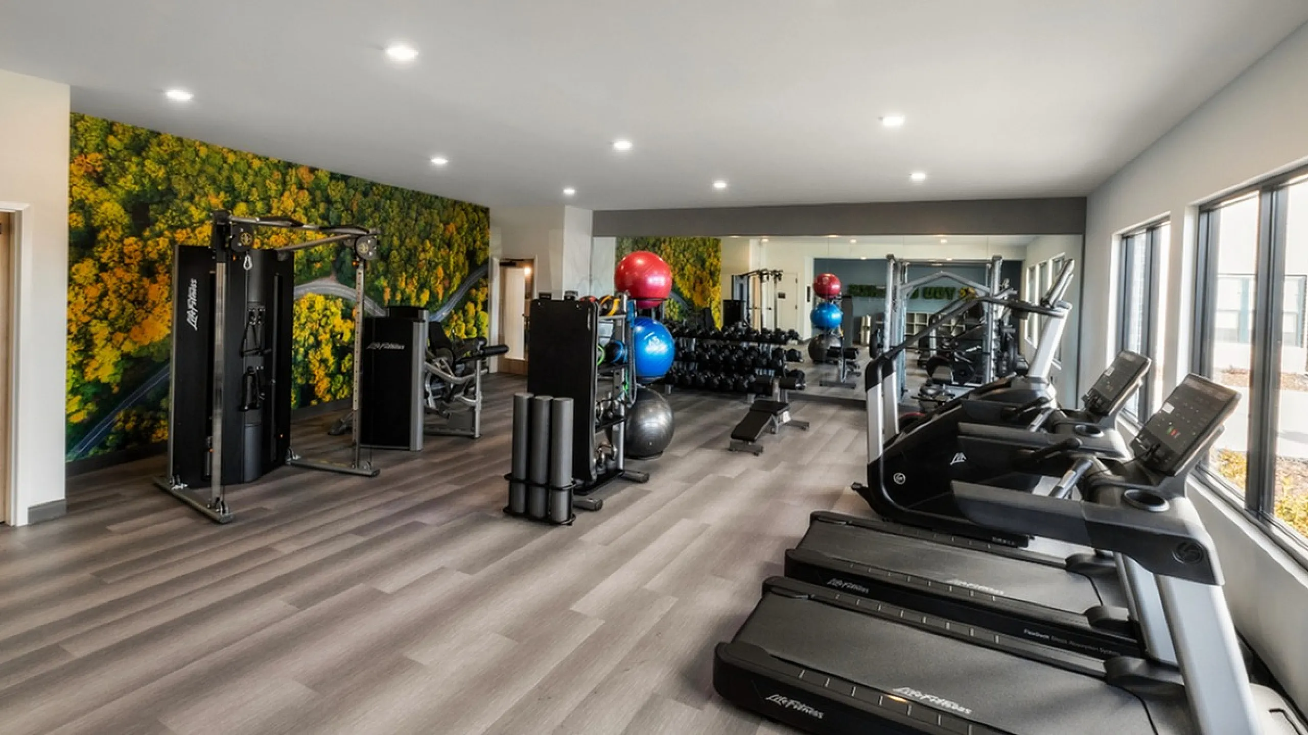 Modern fitness center featuring state-of-the-art equipment, vibrant wall mural, and ample natural light.