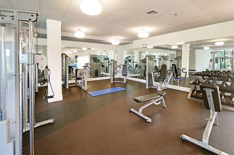 Modern fitness center with diverse workout equipment, mirrors, and natural light for an invigorating exercise experience.