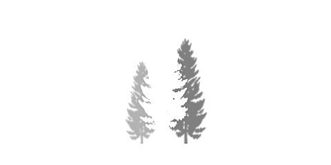 The Pines logo icon, with 3 white pine tree graphics