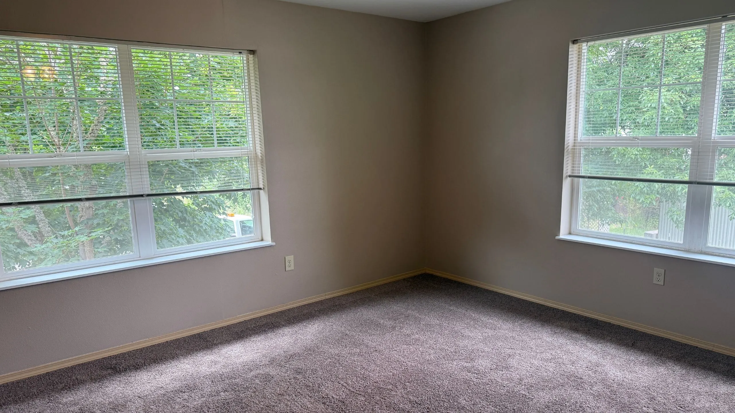 Bright corner room with large double windows showcasing serene outdoor views and plush carpeting, perfect for a cozy retreat.