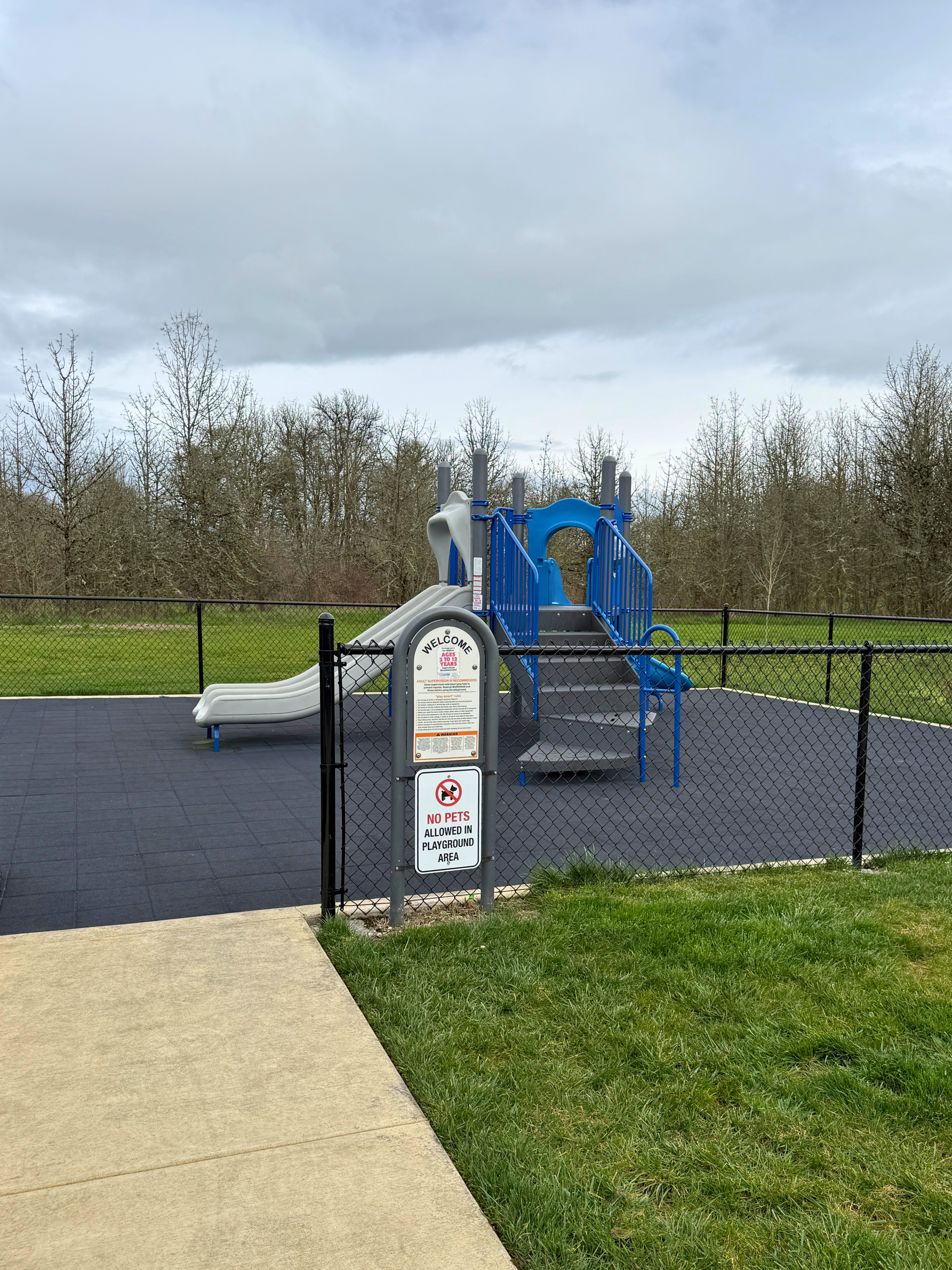 Inviting playground with vibrant blue slides, nestled in a fenced area surrounded by lush greenery and serene trees.