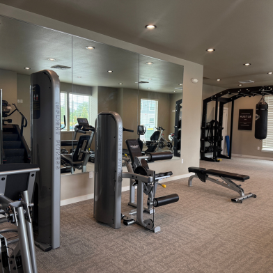 Modern fitness center with state-of-the-art gym equipment, spacious layout, and sleek mirrored walls.
