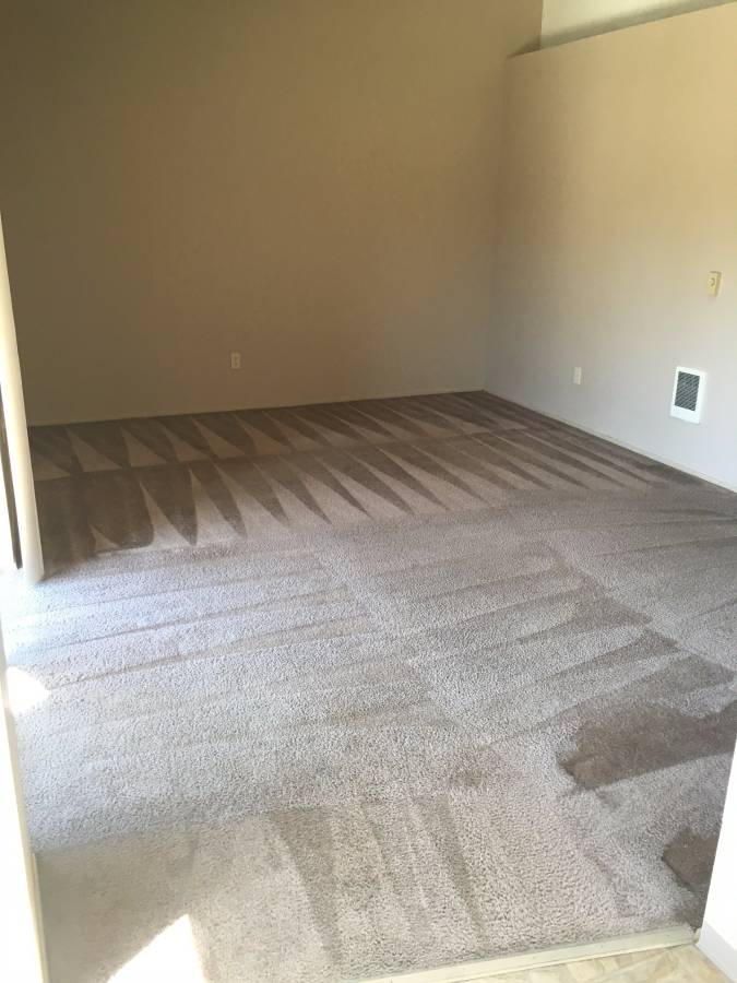 Bright and spacious apartment room featuring freshly cleaned carpet and soft neutral walls, ready for personal styling.