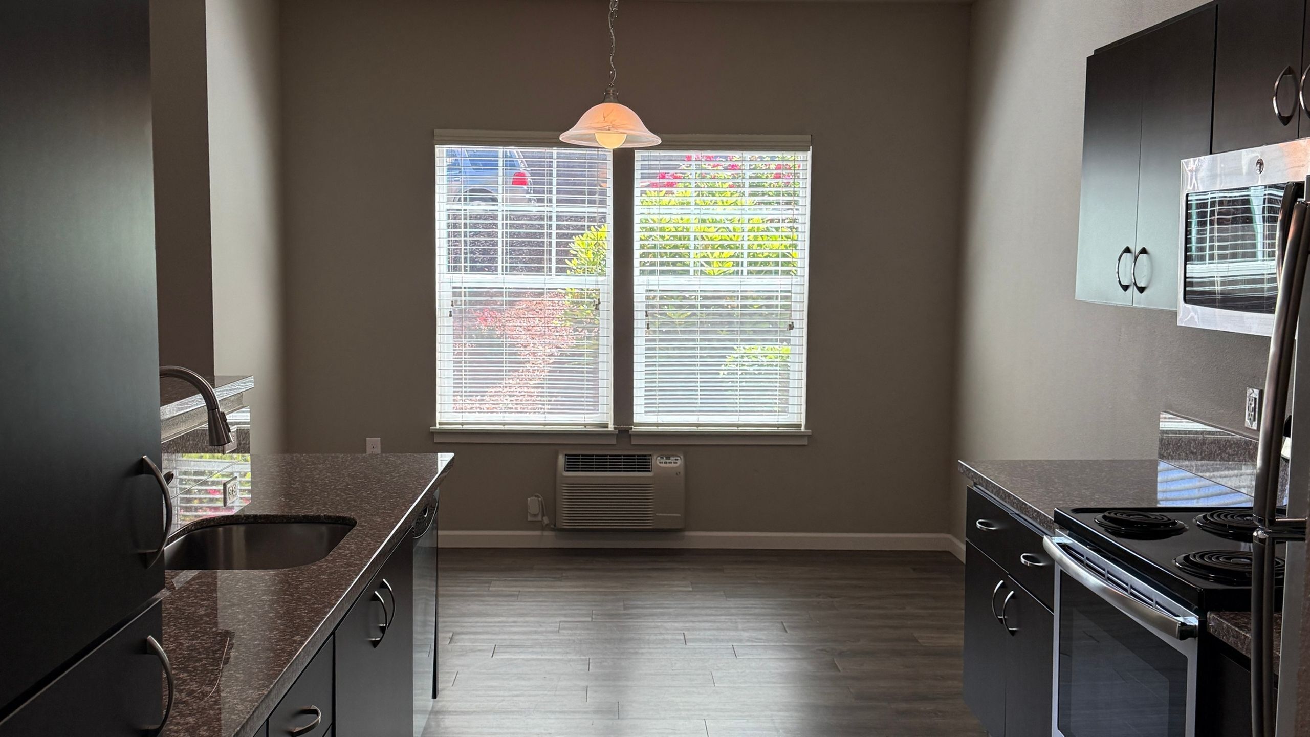 Contemporary kitchen with sleek dark cabinetry, granite countertops, and abundant natural light through large windows.
