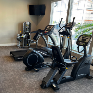 Modern apartment gym with state-of-the-art exercise equipment, including treadmills and elliptical machines, accentuated by large windows for natural light.