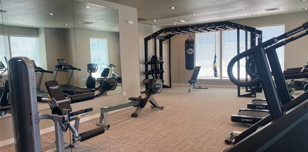 Modern gym with state-of-the-art fitness equipment including treadmills, cycling machine, rowing machine, and a punching bag, illuminated by natural light.