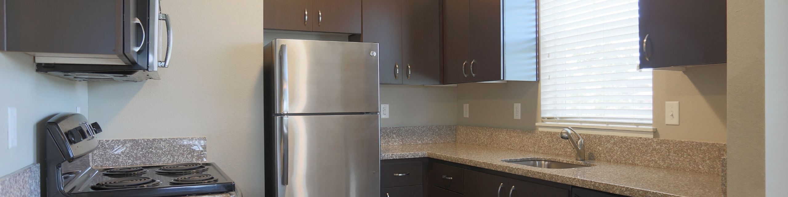 Modern kitchen with sleek stainless steel appliances, dark wood cabinets, and granite countertops, illuminated by natural light.