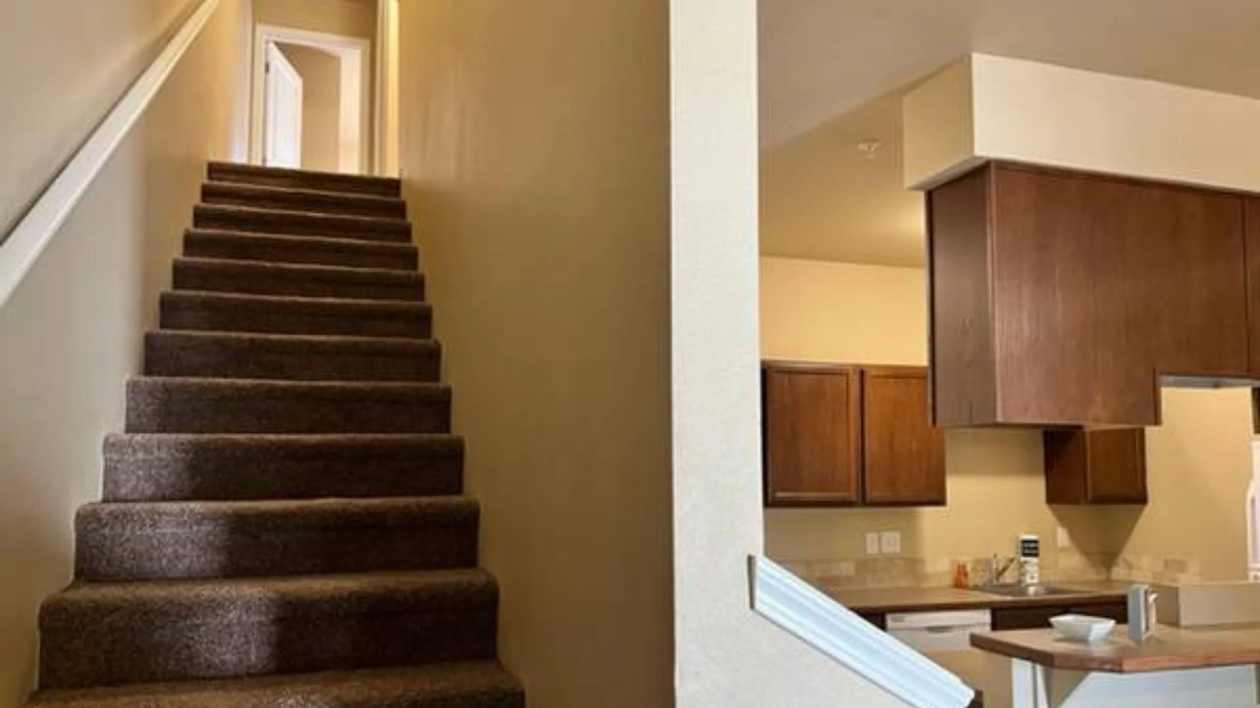 Elegant apartment interior showcasing a cozy carpeted staircase adjacent to a modern kitchen with sleek wooden cabinetry.