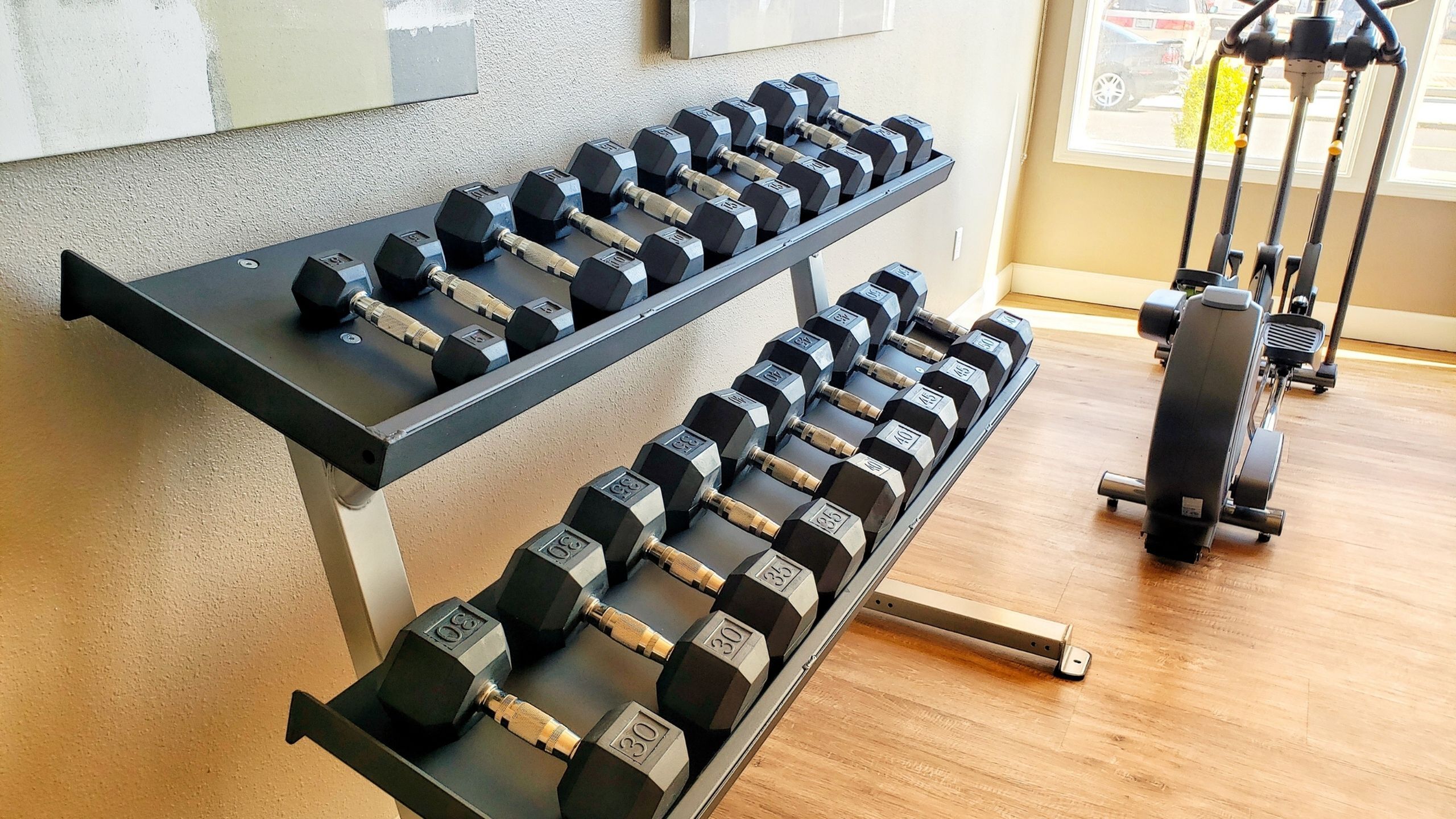 Modern apartment gym with a sleek dumbbell rack and cutting-edge exercise equipment bathed in natural light.