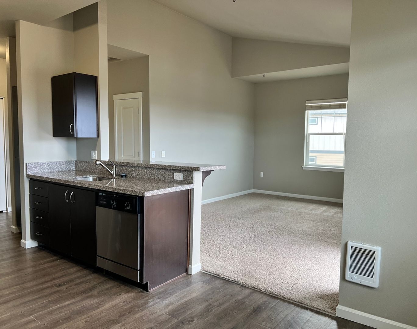 Modern apartment featuring an open kitchen with sleek granite countertops, dark wood cabinets, and an inviting carpeted living area.