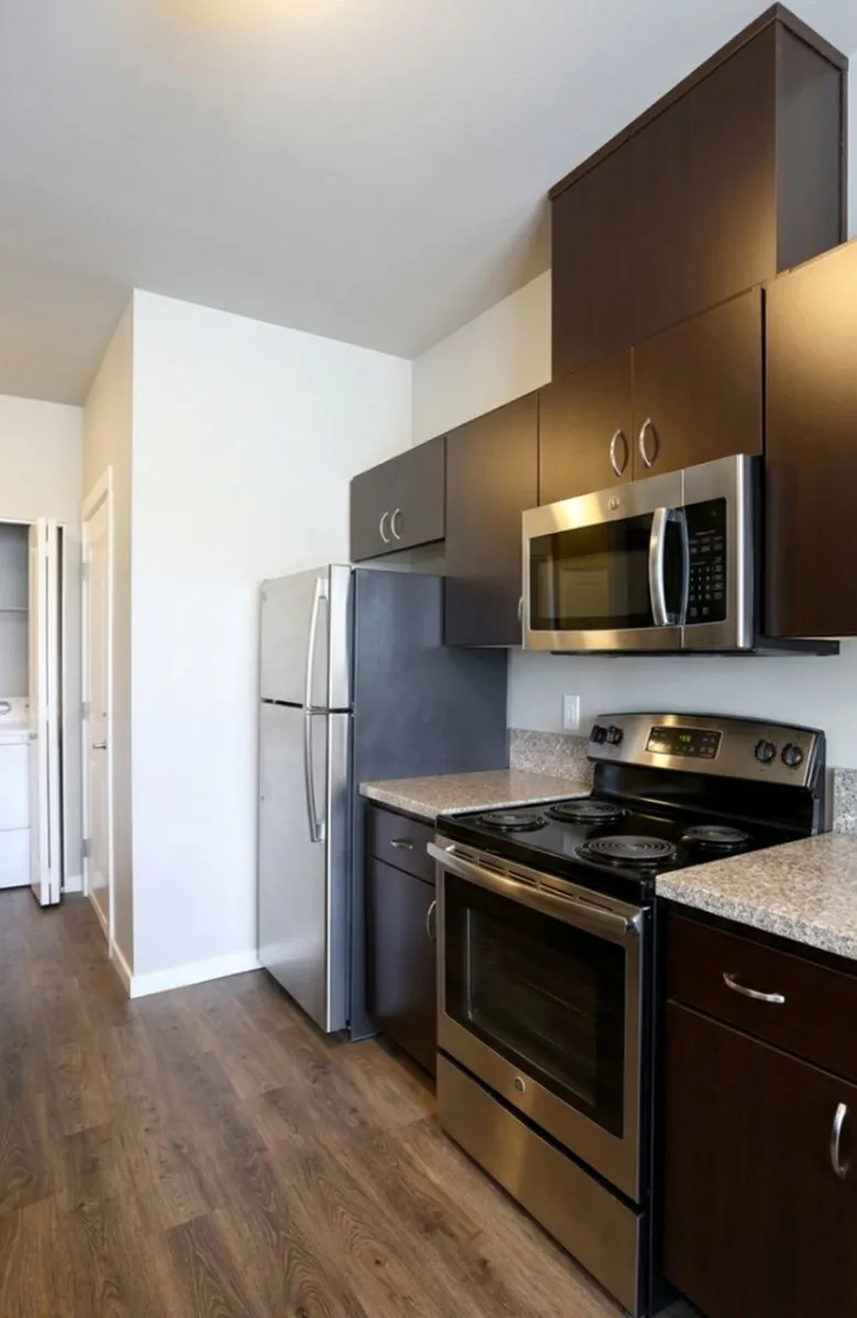 Modern kitchen with sleek stainless steel appliances and elegant dark wood cabinetry.