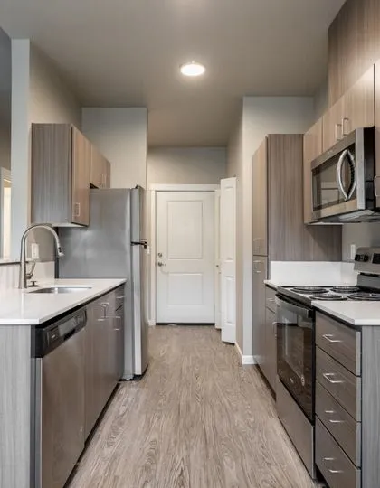 Sleek modern kitchen with stainless steel appliances, elegant wood cabinetry, and a bright, spacious layout.