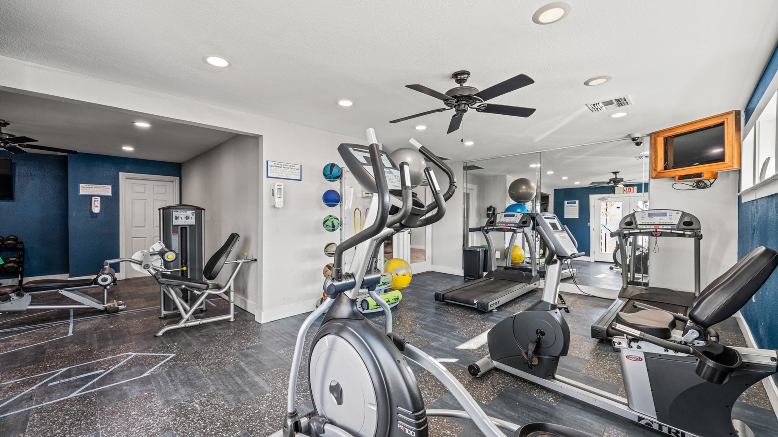 Modern fitness center with state-of-the-art cardio equipment, sleek blue walls, and ample natural light.