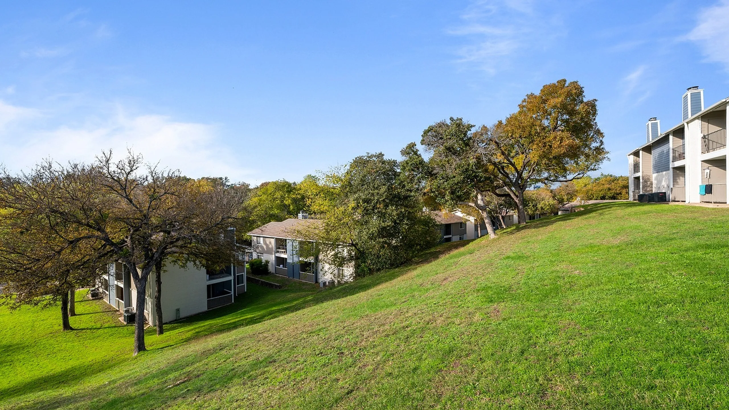 Hilltop Apartments with gorgeous rolling hills shaded with old growth trees large open fields great for kids and pets