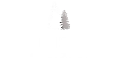 Elegant logo of The Park at Woodmoor featuring stylized pine trees.
