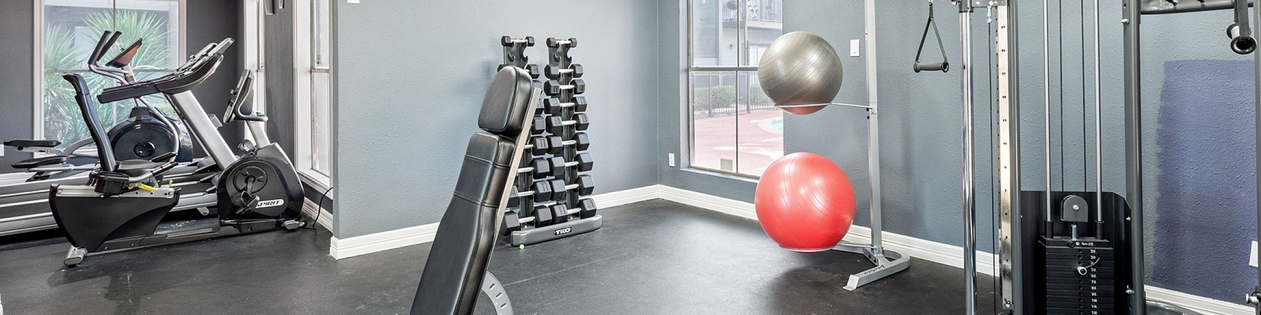 Modern fitness center equipped with cardio machines, weight training equipment, and exercise balls in a sleek, well-lit space.