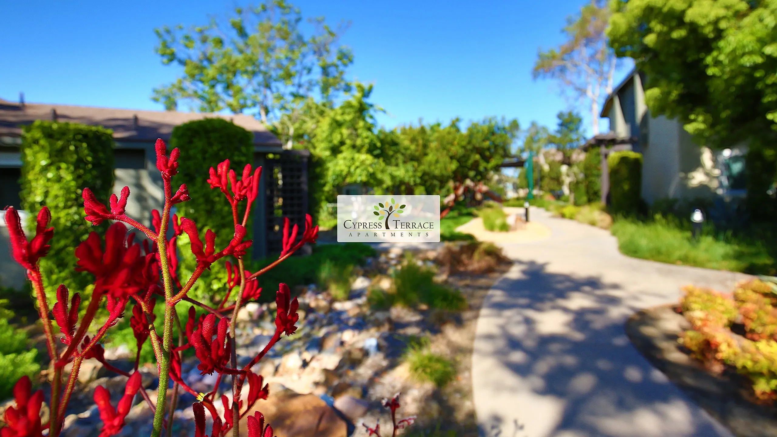 Scene of landscaping and a playground