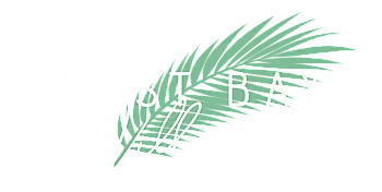 Elegant logo design featuring a green palm leaf with the letters 'ST BA', conveying a tropical and sophisticated vibe.