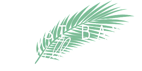 Elegant design featuring a delicate palm leaf with stylish, modern typography overlay.