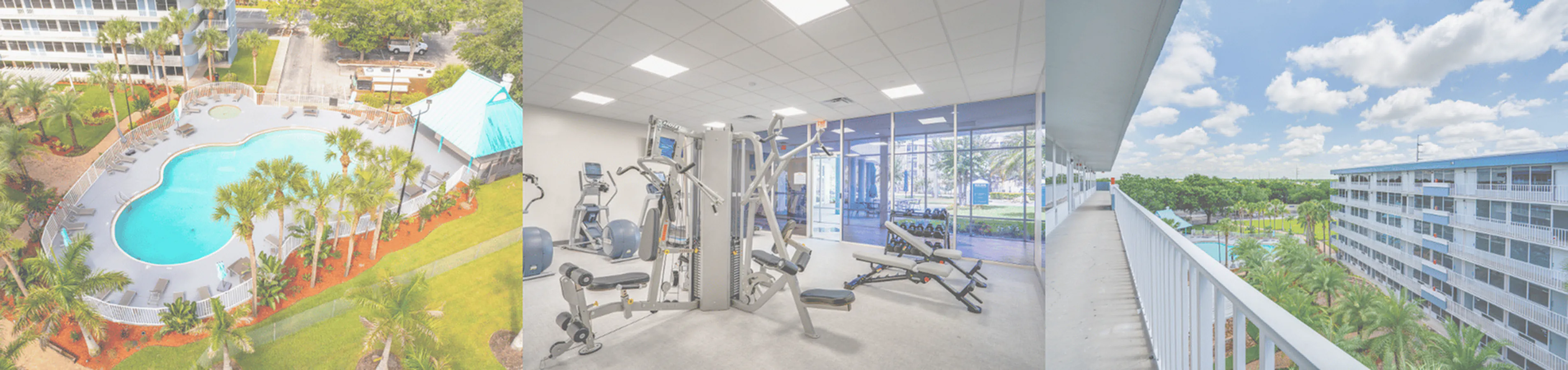 Inviting apartment complex with a lush poolside area, modern fitness center, and scenic balcony views showcasing vibrant greenery.