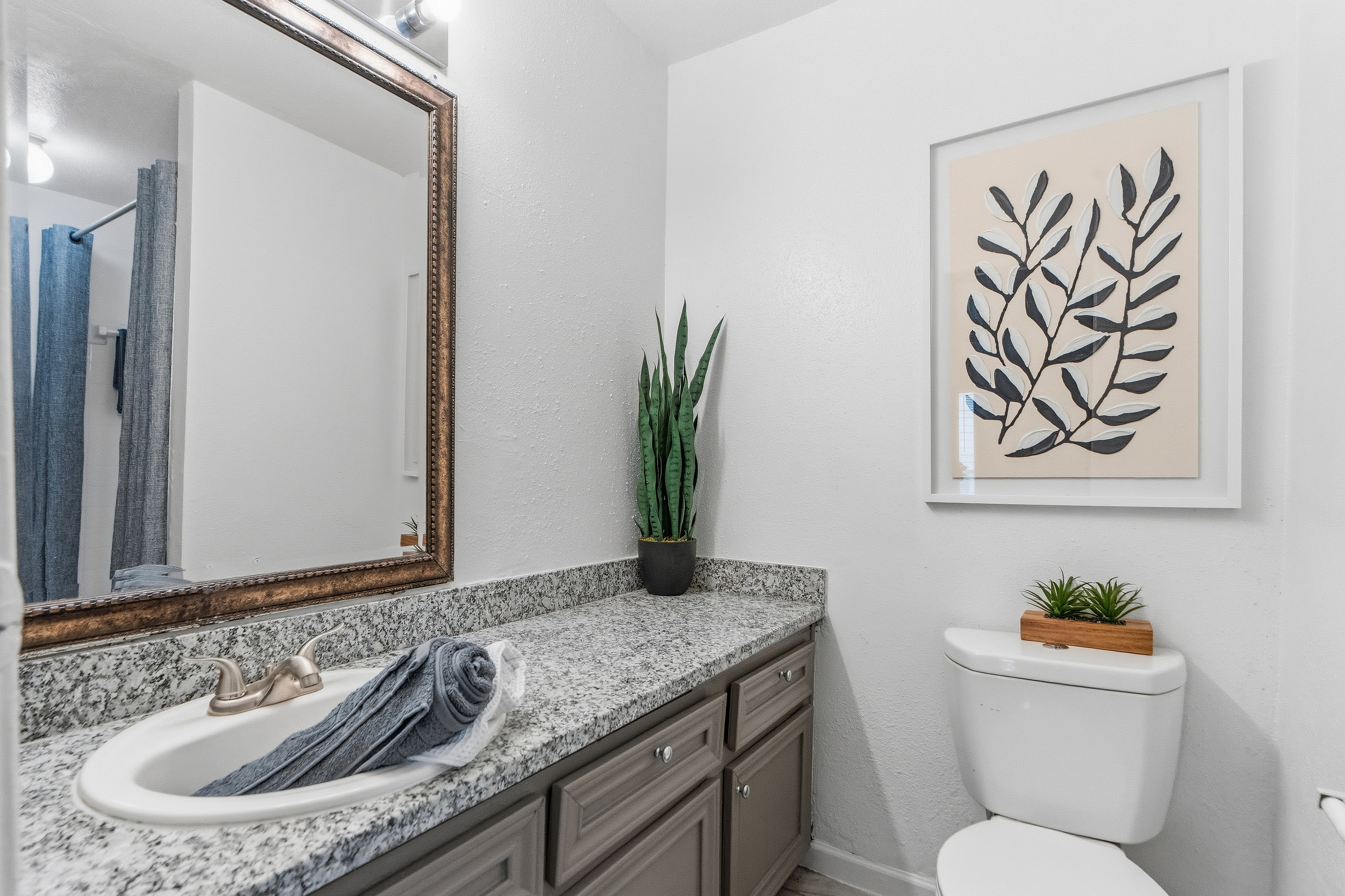 Elegant bathroom featuring a granite countertop, stylish framed mirror, and vibrant indoor plant decor.