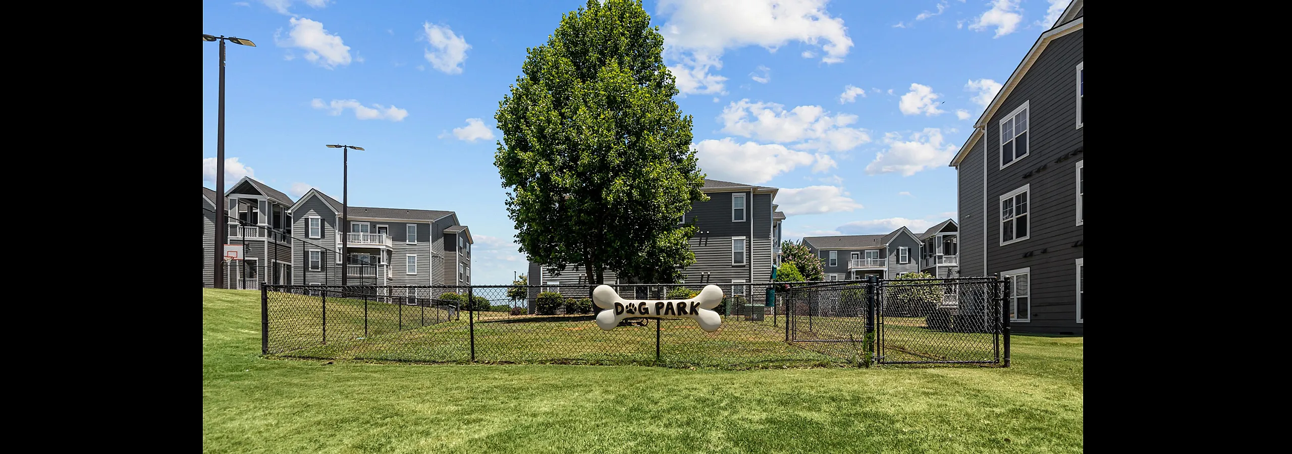 Charming dog park surrounded by modern apartment buildings, perfect for pet lovers.