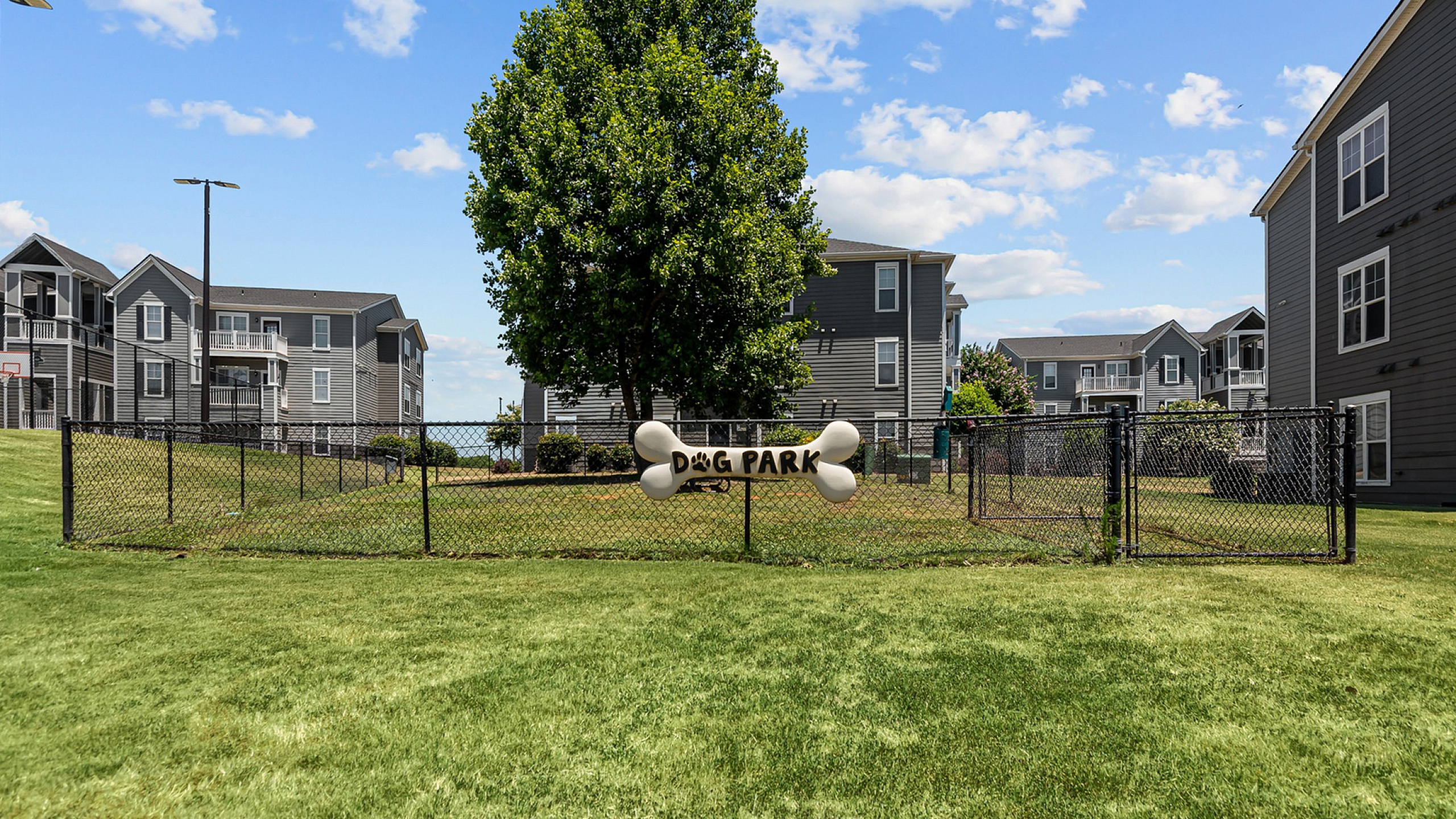 Charming apartment complex with convenient dog park, perfect for pet lovers, surrounded by lush green lawns and modern buildings.