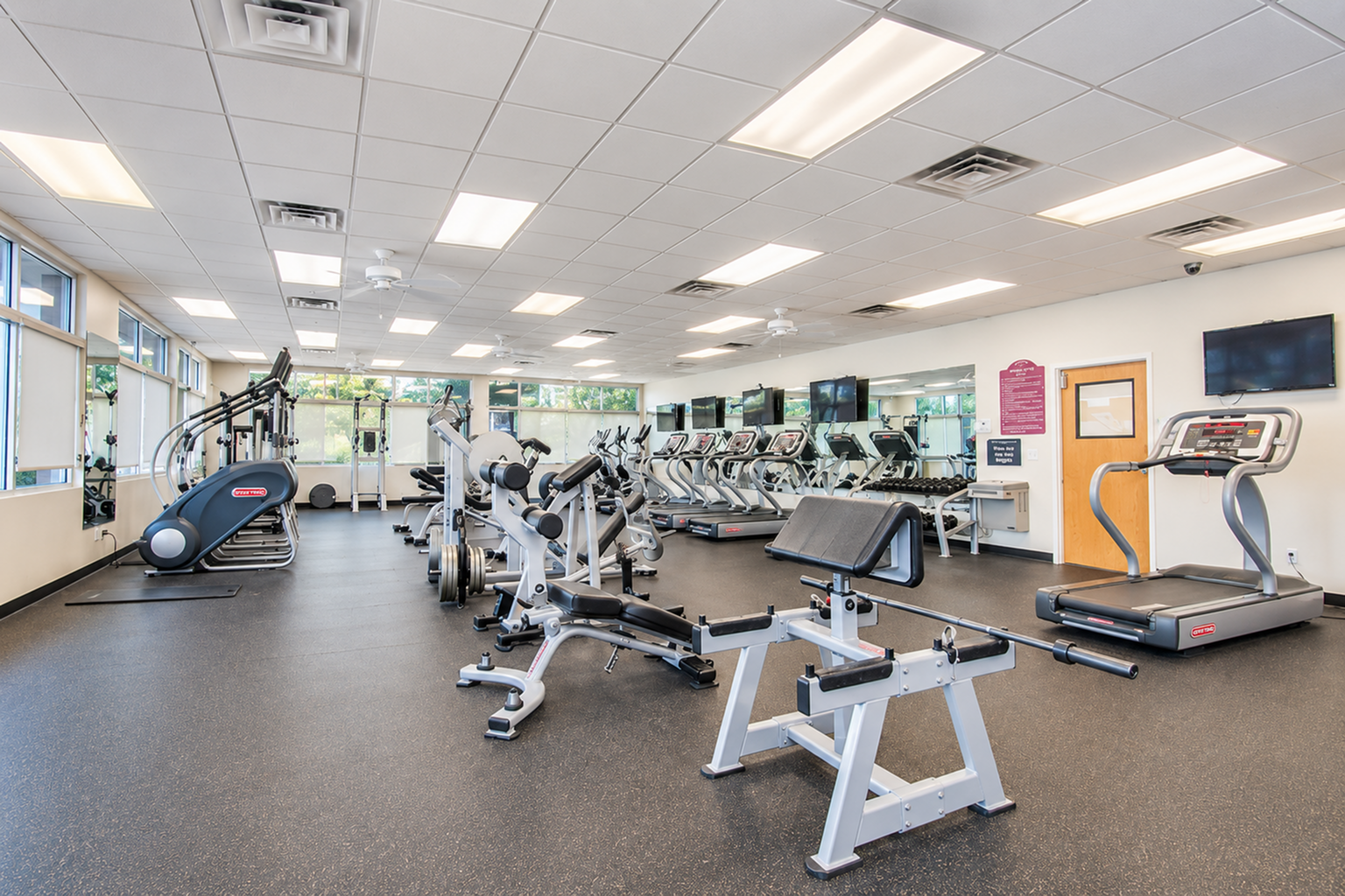 Modern fitness center with natural lighting, treadmills, weight machines, and cardio equipment for a dynamic workout experience.