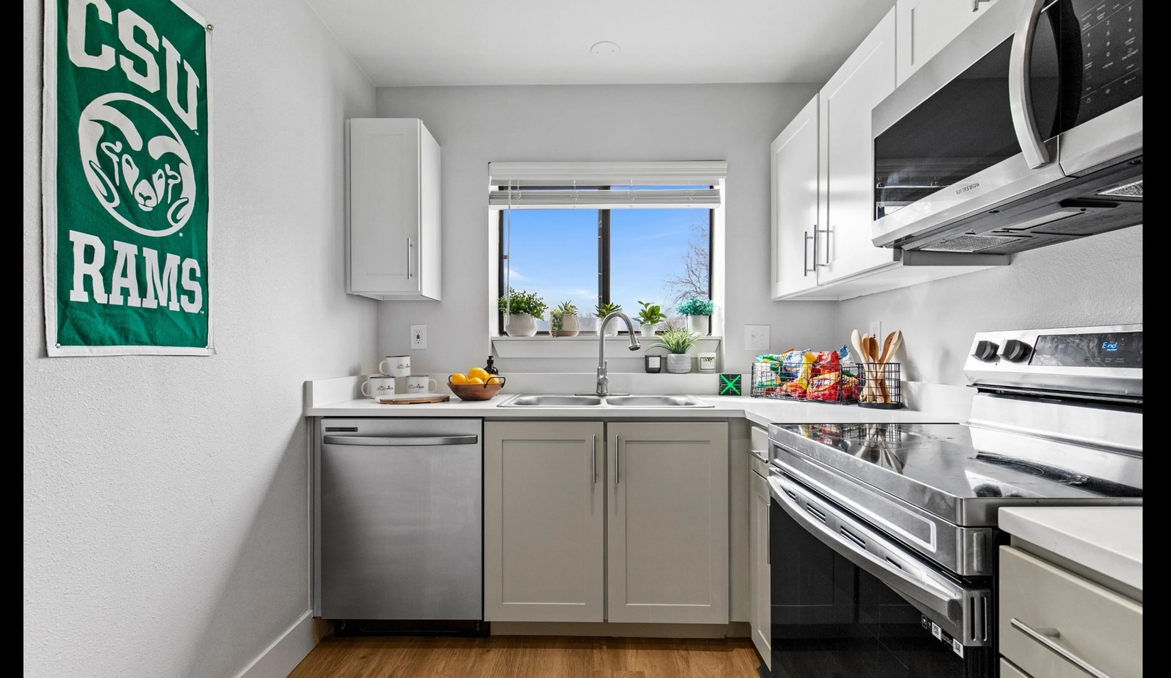 Cozy and modern kitchen featuring sleek appliances, vibrant potted plants, and ample natural light.