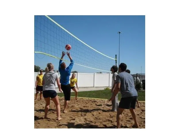 Image of Volleyball Court for The Villas at Emporia